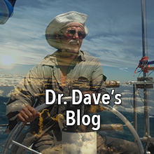 Dr. Dave's Blog